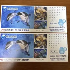 えのすい　新江ノ島水族館　チケット