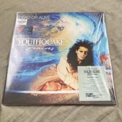 DEAD OR ALIVE YOUTHQUAKE Remixes レコード
