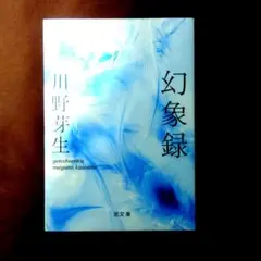幻象録 川野芽生 泥文庫
