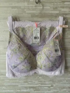 E80L」トリンプ チャーミングラマー スリムライン DeepV ブラ&ショーツ