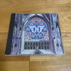 TNT / INTUITION (インテュイション〜直感〜)