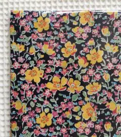 未開封　リバティ　ジョン　タナローン　0.3m