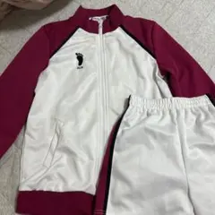 2026年最新】白鳥沢 ジャージ 10周年の人気アイテム - メルカリ