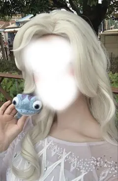 かねまるさま専用】fairytale wigs シンデレラ Dハロ セット済み