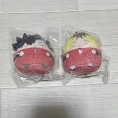 ハイキュー くじメイト ぬいくじ てのりんずコレクション 孤爪研磨 黒尾鉄朗
