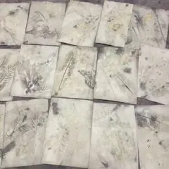 「石に描かれた絵」2 草木染めの紙　ジャンクジャーナル素材　コラージュ素材