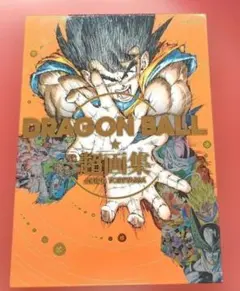 2025年最新】鳥山＿明の人気アイテム - メルカリ