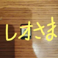 レオさま専用！