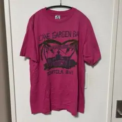 AMERICA PROJECT Tシャツ ピンク L