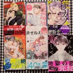 ひめこまち様専用