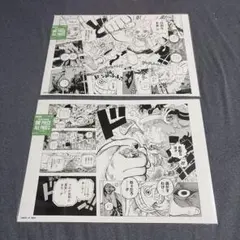ONE PIECE ALL PAGES ニカ ボニー ワンピース ベースショップ - メルカリ