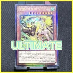 [汎用]天雷ノ双風神シーナ (アルティメット) シングル　レリーフ