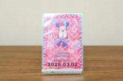 リゾートライン リゾラ フリーきっぷ 3/2 ミニー ファンダーランド パルパル