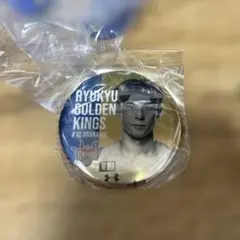 Item thumbnail for item 5d5bcfc7-cfe6-4a08-81ed-d04f07306bad