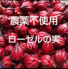 2025年最新】ローゼル苗の人気アイテム - メルカリ