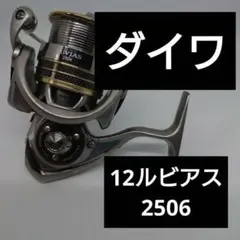 12ルビアス2506 エギング　シーバス　バス　ルアー