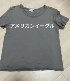 American Eagle Outfitters グレー Tシャツ XXS