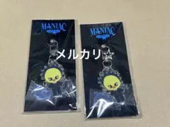 StrayKids SKZOO アクリルキーリング　フィリックス　ポガリ　2点