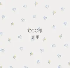 CCC様　専用ෆ