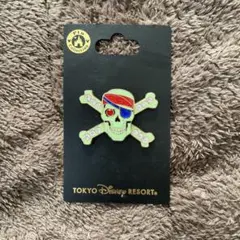 東京ディズニーリゾート 海賊スカルピンバッジ