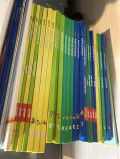 Disney World of English DVDセット 全12巻