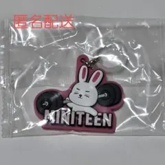 SEVENTEEN miniteen ガチャ めじるし　エスクプス