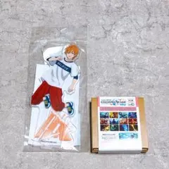 プロジェクトセカイ ￤ アクリルスタンド・ノーブルアートコレクション