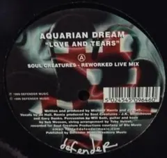 未使用 Aquarian Dream - Love And Tears/レコード