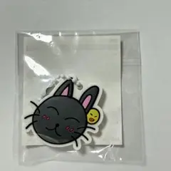 riize wonbin ラントイ キーホルダー