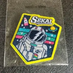 IF FANTASTICS ワッペンバッジ 世界