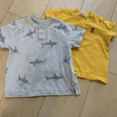 ジェラートピケ　サメ柄Tシャツ　ミキハウス　サイズ　70 80 男の子のサムネイル