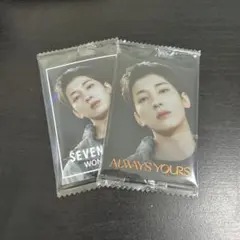 SEVENTEEN ウォヌ シール付きウエハース