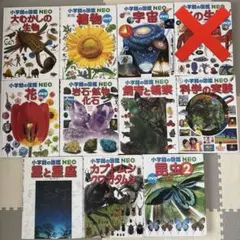 小学生の図鑑 NEO 全10冊セット