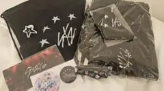 スキズ　アプグレ　プレミアムシート　グッズ ドームツアー　Stray Kids