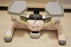 2025年最新】ツイストエアロステッパー premiumの人気アイテム