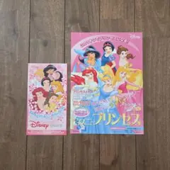 平成レトロ　レア　ディズニープリンセス　チラシ