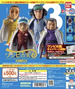 ワンピの実　第13海戦