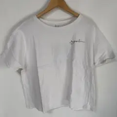 Item thumbnail for item 1cde10d1-7dca-4396-bfc7-4af1fc2ef936