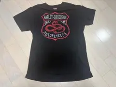 Stussy 4 Skull Rasta T-Shirt - メルカリ