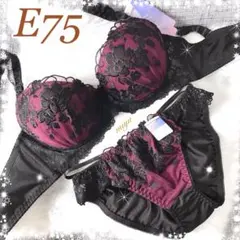 24時間以内発送❣️E75❤︎スモーキーフラワー♥️ブラショーツ上下セット✨ワコール系