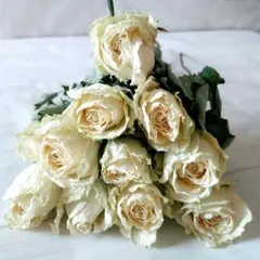 ryoo様 リクエスト 3点 まとめ商品