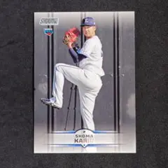 Item thumbnail for item 5817d7f3-0e7a-49f3-bf45-a6b5a8ae984b