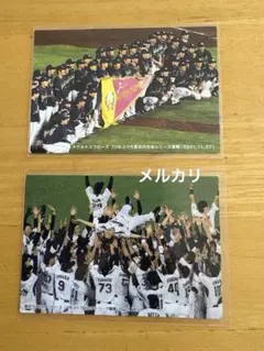 カルビー　プロ野球チップス　ヤクルト　優勝