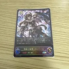 黒翼覇道・フォルテ リーダーカード - メルカリ