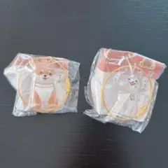 わんこのタイムカプセル 愛犬の毛 まめ＆ラテ