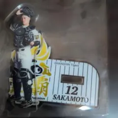 阪神タイガース 2026 熱覇 アクリルスタンド 坂本誠志郎 12 新品、 미사용