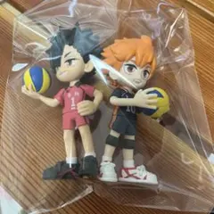 PalVerseハイキュー!! 黒尾鉄朗　日向翔陽