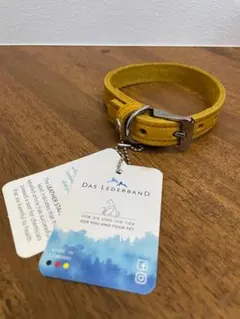 ドイツ製＊新品 DASLEDERBAND 犬用首輪 本革 ボストン XS - メルカリ