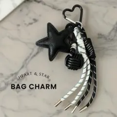 期間限定値下げ❣️ じゃらじゃらキーホルダー バッグチャーム パラコード 星 白