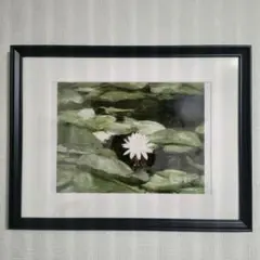 水面の睡蓮 アート作品 黒フレーム付き